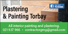 Plastering and Painting Torbay Logo